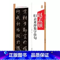 [正版]赵孟頫归去来辞集字佳句 中国历代名碑名帖集字系列丛书 陆有珠 毛笔字帖书法临摹碑帖古帖 附简体旁注点评概述 安
