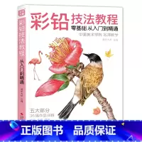 [正版]彩铅技法教程从 入门到精通初学者零基础学画画中国美院名师教学花鸟动物植物风景人物绘画手绘教学画画自学美学大师