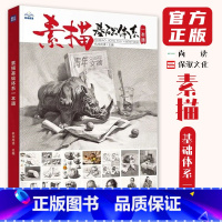 [正版]素描基础体系一本通 2024尚读