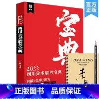 [正版]2022四川美术联考宝典 敲门砖段健 素描速写色彩川美考题解析艺考书籍