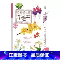 [正版]花绘开彩铅轻松画 张晓星(星心绘) 著 美术画册 艺术 彩铅绘画教程书 零基础彩铅绘画书 彩铅书籍 绘画临摹