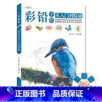[正版]彩铅手绘从入门到精通 2021一线美誉何海洋