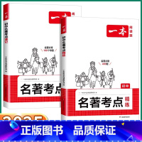 名著考点速记 初中通用 [正版]2025新版 初中名著考点精练必读名著速记七年级八年级九年级基础知识点导读中考语文名著专