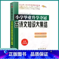 古诗文知识大集结 小学通用 [正版]2023版 小学升学夺冠古诗文知识大集结一1二2三3四4五5六6年级上册下册小学生成