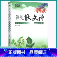 最美散文诗 初中通用 [正版]2023版佳佳林作文美散文诗初中七八九年级上册下册经典诵读美文同步训练练习中学生读本课外阅