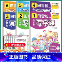 一年级上册 小学通用 [正版]2024新版 田雪松小学生写字课 小学一1二3三3四4五5六6年级上册下册语文人教版字词句