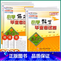 4本]语/数/英/科 小学升初中 [正版]2025新版孟建平小学毕业考试卷小升初语文数学英语人教版科学教科版小学必刷题必
