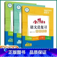 3本]小学语/数/英 总复习集训 [正版]2025新版 小升初语文总复习特训 小学一二三四五六上册下册数学英语人教版通用