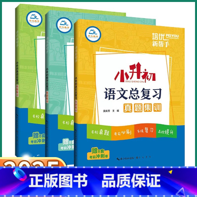 3本]小学语/数/英 总复习集训 [正版]2025新版 小升初语文总复习特训 小学一二三四五六上册下册数学英语人教版通用