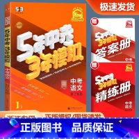 中考[语文] 初中通用 [正版]浙江2025新版 五年中考三年模拟中考语文人教版初中七八九年级必刷题总复习辅导资料专项突