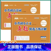 小升初[小古文]真题精选专练详解 小学升初中 [正版]助考金卷小升初小古文+古诗词真题精选专练详解小学六年级人教版小学毕