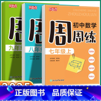 初中数学周周练 九年级/初中三年级 [正版]2025新版乐支点初中数学周周七年级八年级九年级上册下册中学生学科单元设计核