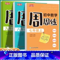 初中数学周周练 九年级/初中三年级 [正版]2025新版乐支点初中数学周周七年级八年级九年级上册下册中学生学科单元设计核