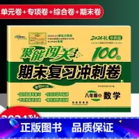 数学 华师版 八年级上 [正版]2025新版聚能闯关期末复习冲刺卷100分初中八年级上册数学华师版专项突破训练知识梳理与