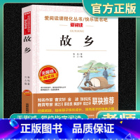 爱阅读-故乡 小学通用 [正版]故乡爱阅读名著课程化丛书青少年快乐读书吧小学生儿童一二三四五六年级上下册必课外阅读物故事