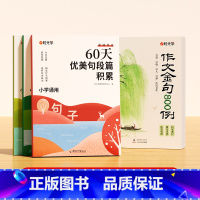 [全5册]作文金句800例+60天优美句段 小学通用 [正版]作文金句八百例800例小学生高分作文素材好词好句好段优美句