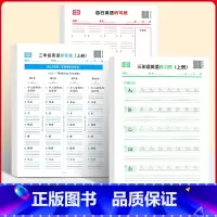[三年级上册英语]练习纸+默写纸+听写纸 [正版]英语单词默写纸人教版小学生三四五六年级上册英汉互译同步英文单词句子听写