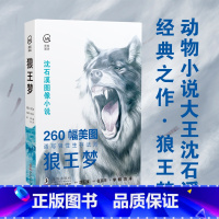 [插图版全5册]狼王梦 [正版]狼王梦精美插图版全套5册动物小说大王沈石溪经典小说作品集小学1-6年级书籍排行榜课外