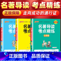 [7-9年级全套3册]名著导读考点精练 初中通用 [正版]保障名著导读考点精练初中七八九年级必读名著导读与考点中考总复习