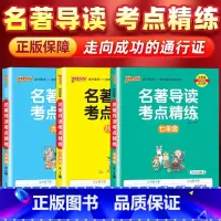 [7-9年级全套3册]名著导读考点精练 初中通用 [正版]保障名著导读考点精练初中七八九年级必读名著导读与考点中考总复习