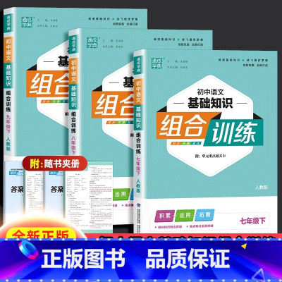 语文基础知识组合训练[人教版] 七年级上 [正版]通成学典 初中语文基础知识组合训练七八九年级上下册中考版 语文初一二三
