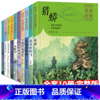 中国儿童文学名家经典冰波童话系列 [正版]中国儿童文学名家经典全10册 冰波王一梅童话系列 沈石溪动物小说 猎蟒蓝鲸的眼