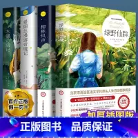 [原著正版]绿野仙踪+柳林风声+爱丽丝+木偶奇遇记 [正版]绿野仙踪原著三四五六年级上下册中小学生初中生青少年版课外阅读
