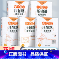 [中考压轴题]全套5册 全国通用 [正版]周计划中考数学压轴题训练匀速动点问题+圆+折叠与旋转+三角形与四边形+函数 初
