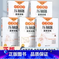[中考压轴题]全套5册 全国通用 [正版]周计划中考数学压轴题训练匀速动点问题+圆+折叠与旋转+三角形与四边形+函数 初