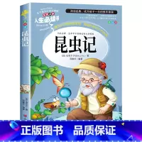 昆虫记 [正版]昆虫记原著完整版法布尔著全集小学生一二三四五六年级上下册bi读的课外阅读书美绘少儿版导读6-8岁儿童经典