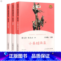 [全3册]爱的教育+童年+小英雄雨来 六年级上册 [正版]快乐读书吧六年级上册小英雄雨来爱的教育童年高尔基人教版全套 人
