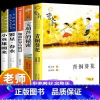[全5册]青铜葵花+宝葫芦+繁星春水+小英雄雨来+细菌世界 [正版]青铜葵花草房子曹文轩原著完整版四年级下册bi读的课外