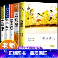 [全5册]青铜葵花+宝葫芦+繁星春水+小英雄雨来+细菌世界 [正版]青铜葵花草房子曹文轩原著完整版四年级下册bi读的课外