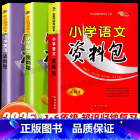 4本:语文+数学+英语+综合 小学通用 [正版]2024新版小学语文资料包人教版小学生一二三年级四五六年级英语基础知识大