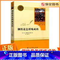 钢铁是怎样炼成的 [正版]钢铁是怎样炼成的原著人民教育出版社 初中八年级下册语文课外书文学图书和名著8八下课外阅读人教版