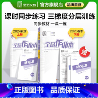 化学 九年级下 [正版]作业本 化学 九年级上下册 沪教版HJ9年级教程同步练习册 初三检测试 必刷题天天练 2025春