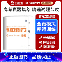 全国通用 语文[新高考]2025版 [正版]2025新版 高考模拟冲刺卷 语文 A仿真模拟卷+B信息押题卷 新高考适用
