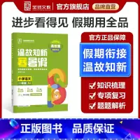 语文[全国版] 小学一年级 [正版]2025春 温故知新寒暑假作业小学1一年级升学假期衔接作业一年级语文人教版RJ小学生