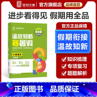 语文[全国版RJ] 小学四年级 [正版]2025春 温故知新寒暑假作业小学4四年级升学假期衔接作业四年级语文人教版RJ小
