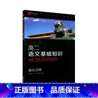 [正版]高二语文基础知识 强化训练黑皮语文系列 高中语文语文基础知识手册训练大全 高二基础语文知识大全训练题高二语文基