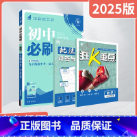 数学[北师版] 九年级下 [正版]2025春适用初中九年级下册数学BS北师大版杨文彬中考专项集训9年级下教同步课时作业狂