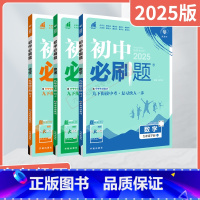 数学物理化学3本[人教版] 九年级下 [正版]2025春版3本初中九年级下册数学物理化学R人教版中考专项类集训9下衔接中