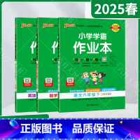 语文数学英语3本[人教版] 六年级下 [正版]2025春适用3本套装pass绿卡小学学霸作业本六年级下册语文数学英语统编