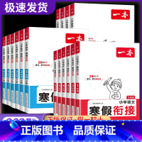 寒假阅读+口算+练字帖 小学一年级 [正版]2025寒假衔接训练小学语文数学一二三四五六年级全套人教版小学寒假作业阅读理