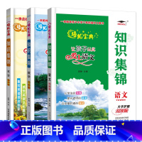 知识集锦语文+数学+英语 小学通用 [正版]2023新版培优宝典知识集锦语文数学英语升级版小学语文基础知识手册全国通用小