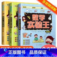 [全3册]数学实验王 初级+中级+高级 [正版]数学实验王时间怎么能称出来 直尺为什么能画出曲线全3册趣味科学推理想象思