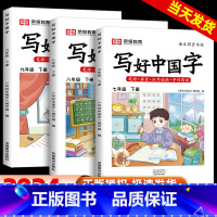 写好中国字同步字帖 七年级下 [正版]荣恒写好中国字字帖七八九年级上册下册人教版同步练字帖课课练控笔训练字帖小学生抄写本