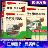 [全套3册]快乐读书吧六年级下册必读 [正版]全套3册 鲁滨逊漂流记六年级下册的课外书必读原著完整版汤姆索亚历险记尼尔斯