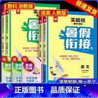 语文英语人教版+数学科学浙教版 八年级/初中二年级 [正版]2024版 实验班提优训练暑假衔接八升九年级语文数学英语科学