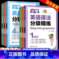 小学英语语法分级精练 小学一年级 [正版]2025新版任选Step into grammar小学英语语法分级精练一二三年
